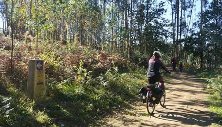 Cycling the Camino, Camino Francés
