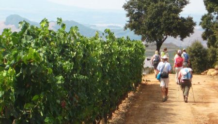 Camino Walk & Coach Guided Tour