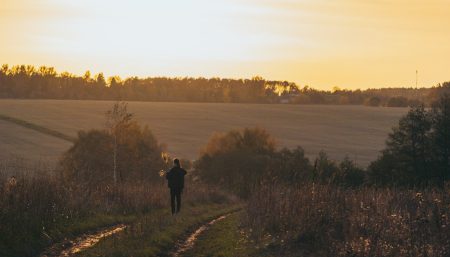Walking Alone Evgeniy Prokofiev