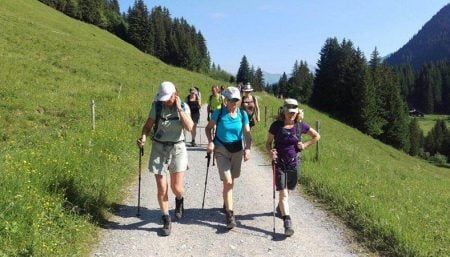 Camino Guided Tour