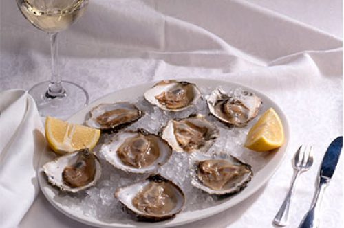 oyster-arcade-portugueseway-caminoways