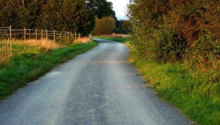 Path through the countryside