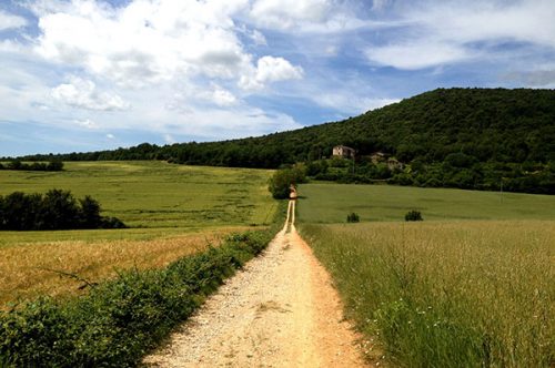trail-via-francigena-camino-to-rome-1