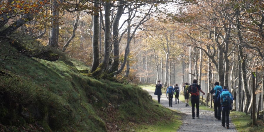 group-walking-camino-the-pyrenees-section-caminoways Inexperienced Walker