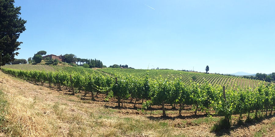 tuscany-val-dorcia-walking-via-francigena-caminoways