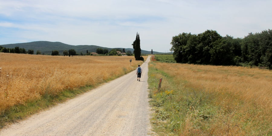 responsible-travel-greenlife-fund-camino-de-santiago