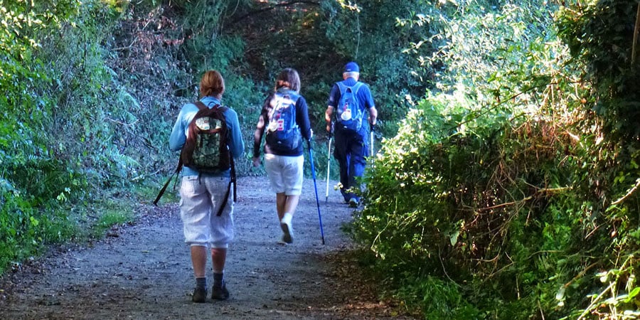 walkers-forest-camino-de-santiago-caminoways