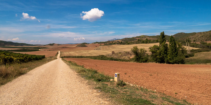 meseta-trail-landscape-camino-de-santiago-caminoways