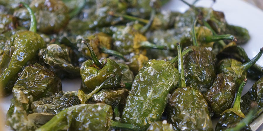 padron-peppers-vegan-camino-de-santiago-caminoways