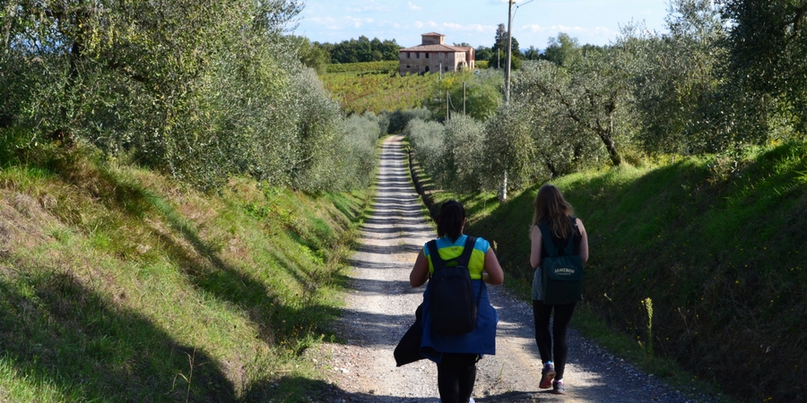 You will walk less in. the afternoon on a typical day on the Camino