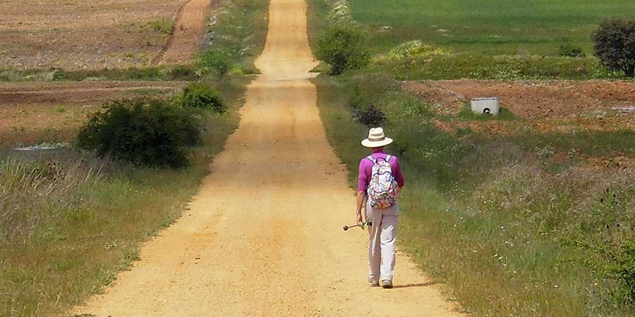 can-i-walk-the-camino-on-my-own-camino-ways