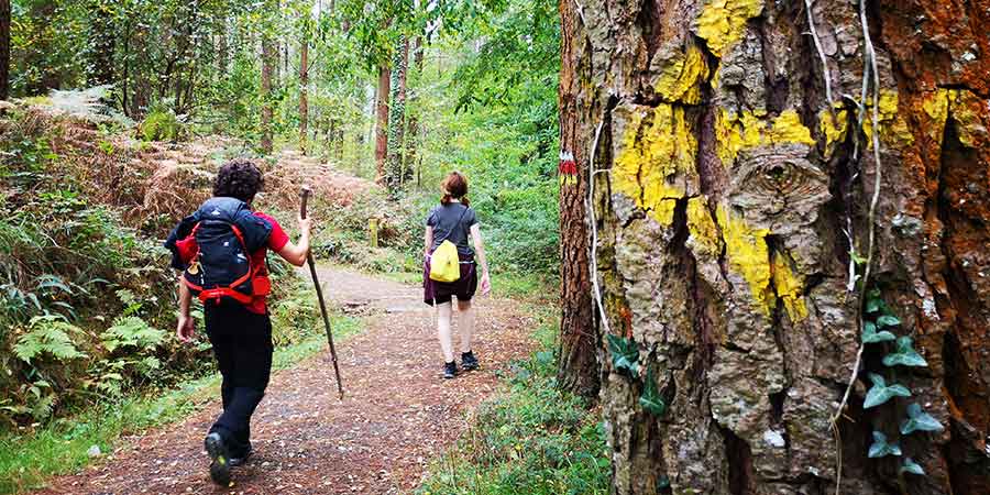 reasons-walking-holiday-walkers-camino-de-santiago-caminoways