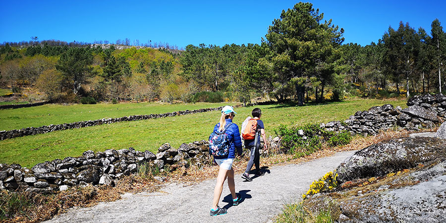 Pilgrims favourite Camino routes Via de la Plata trail Camino de Santiago CaminoWays