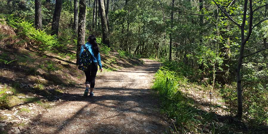 How to Emotionally and Mentally Prepare for the Camino