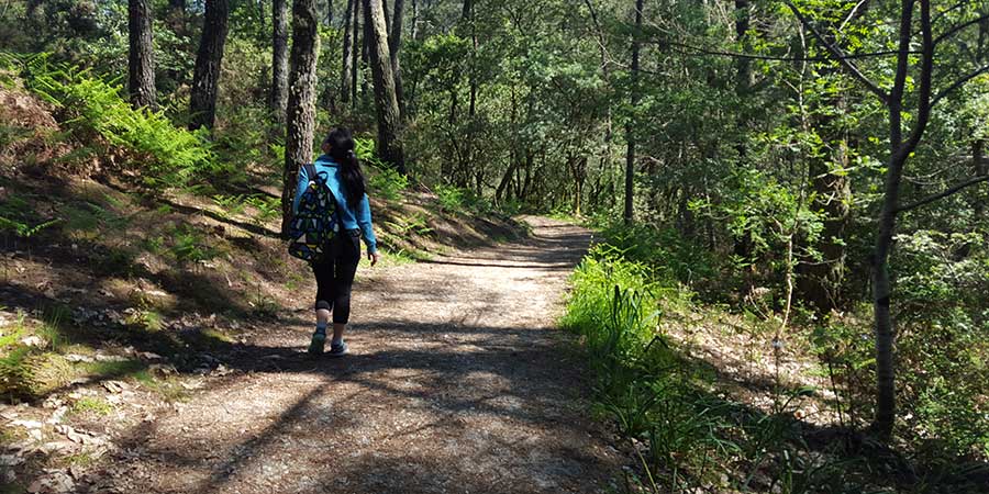 mindful-walking-camino-de-santiago