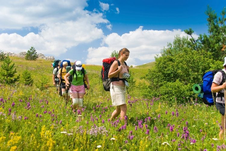 overall camino experience