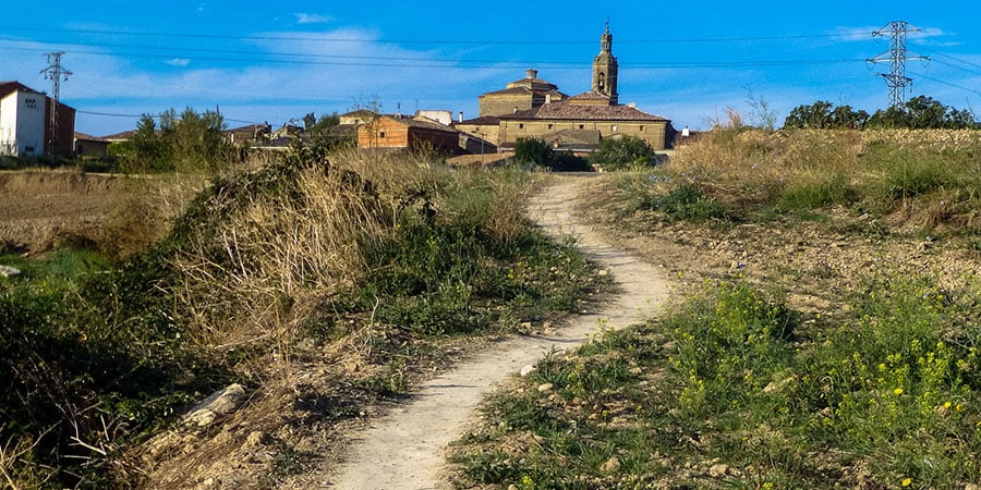 landscape-camino-frances-camino-de-santiago-caminoways