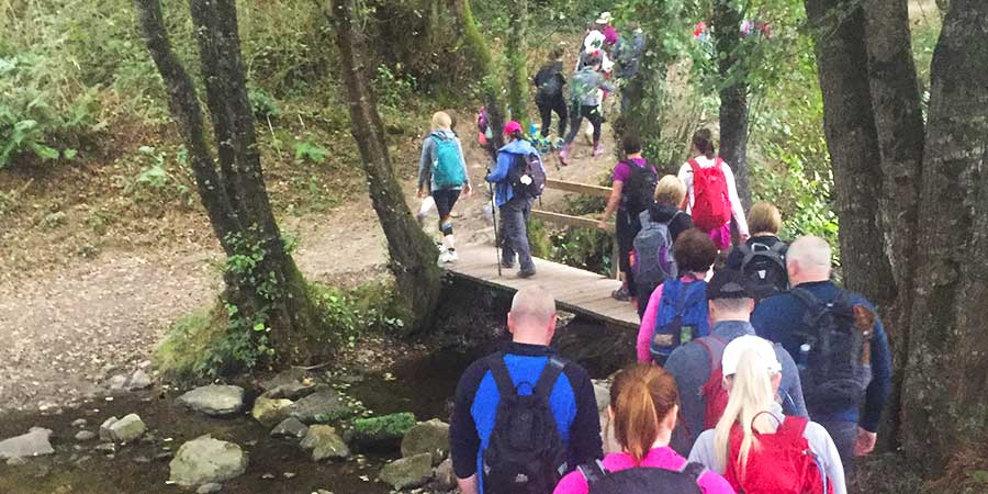 The Camino with a group