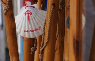 Traditional Scallop Shell on the Camino