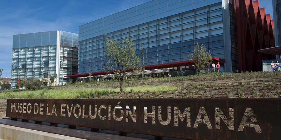 museum-for-human-evolution-camino-de-santiago-caminoways