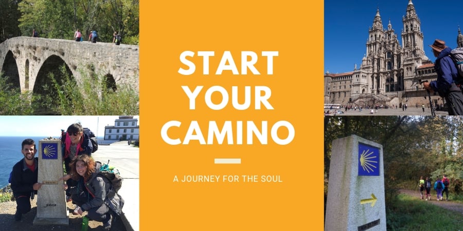 Camino de Santiago for Dummies