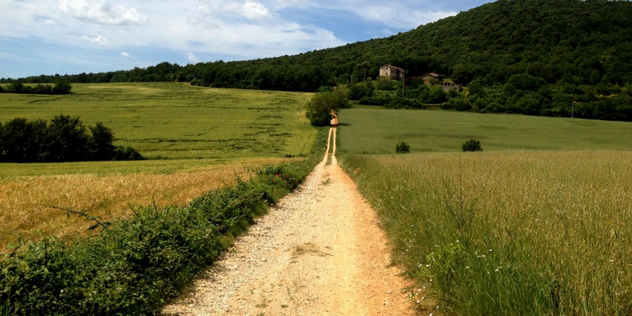 walking-in-tuscany-trails-via-francigena-camino-to-rome