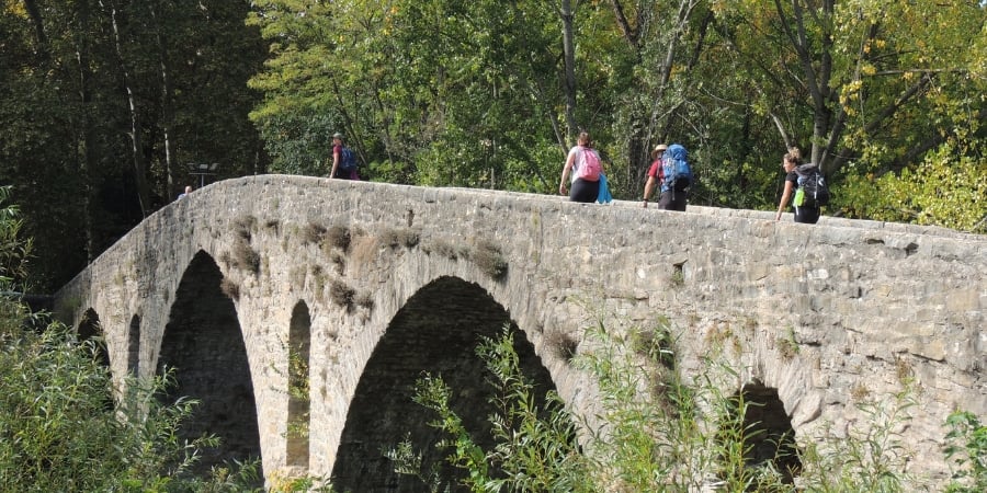 Camino from St Jean Pied de Port