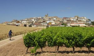 Cirauqui village