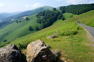 Green-Spain-Things-you-didn't-know-about-Spain-Camino-de-Santiago-Camino-Ways