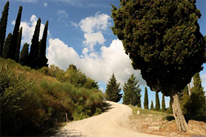 I-volti-della-via-francigena-Fabio-Italy