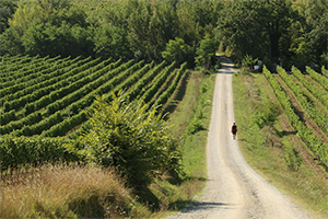 Via-francigena-documentary-walking-1