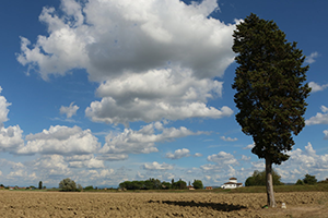 Via-francigena-scenery-doc-walking