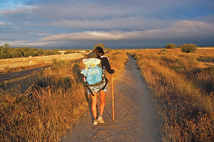 Walk-Camino-de-Santiago-Camino-Ways