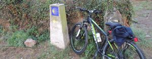 we cycled the camino frances bike 