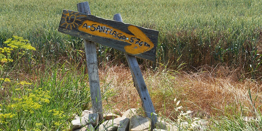 Camino Markings - The Scallop Shell