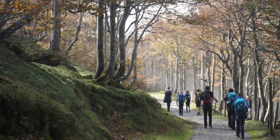 video-camino-frances-from-st-jean-pied-de-port-caminoways