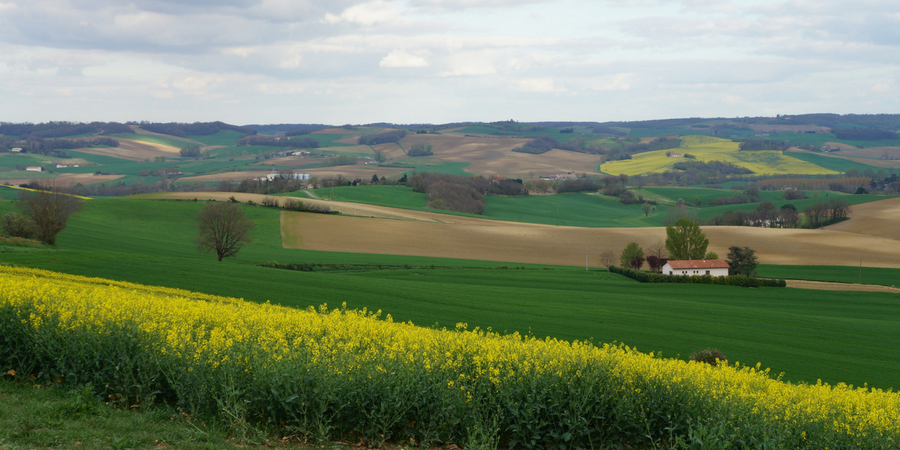 french-landscapes-le-puy-way-caminoways