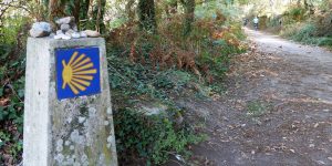 Camino Self Guided Tours