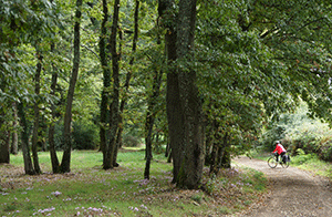 cycling-via-francigena-camino-to-rome-francigenaways