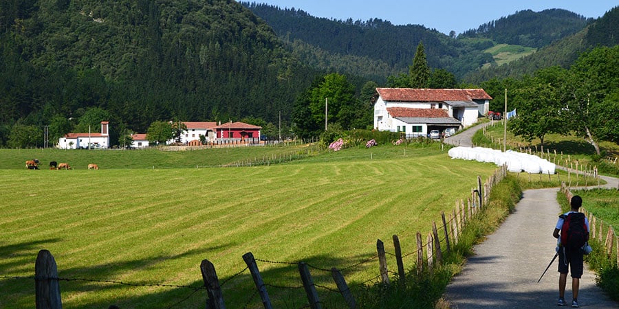 walker-camino-del-norte-countryside-walk-the-camino-de-santiago-caminoways