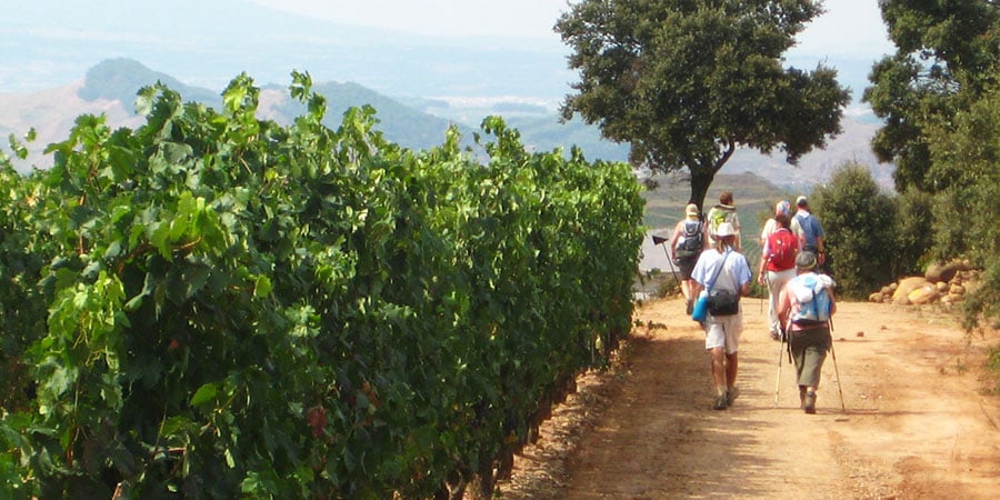 La-Rioja-walkers-walking-poles-caminoways