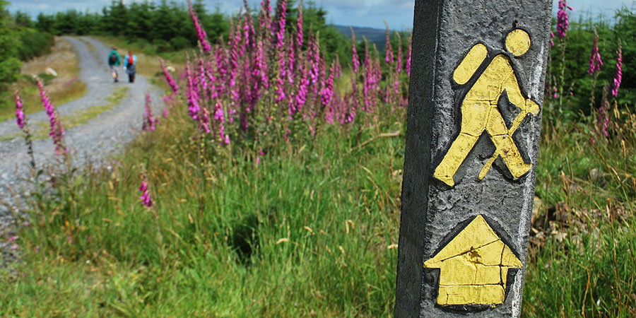 Follow the arrows on your Camino journey