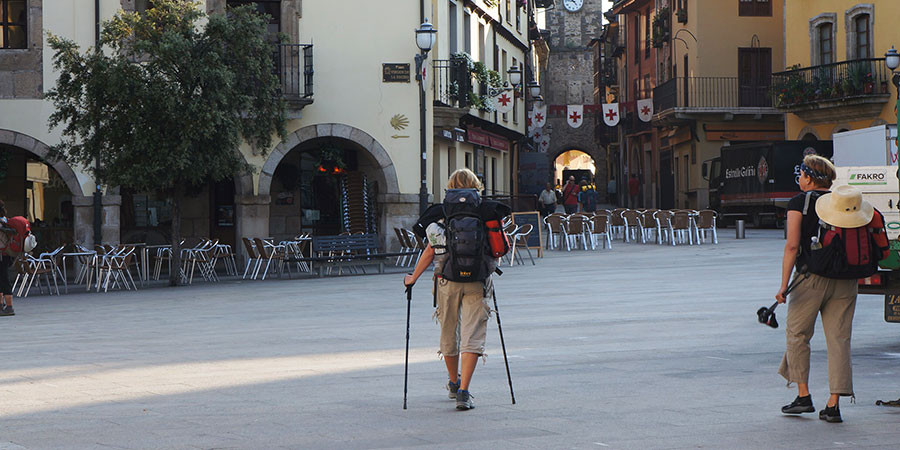 Pilgrim with Walking Poles on the Camino