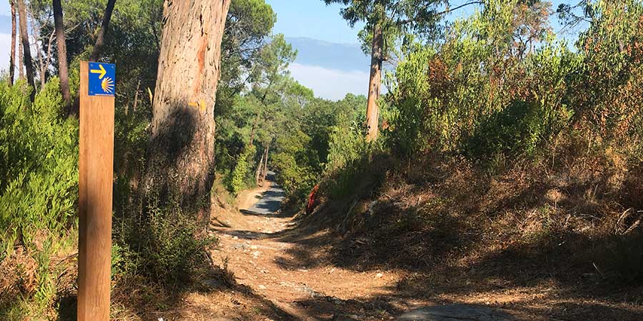 mindful walking camino-trail-porto-baiona