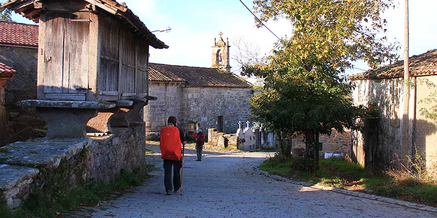 Winter Camino