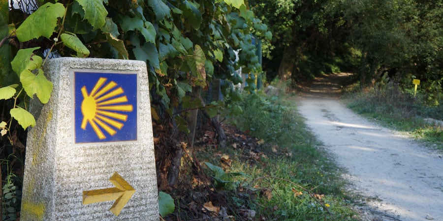 Scallop Shell And The Camino De Santiago