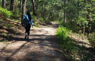 Walking alone on the Camino