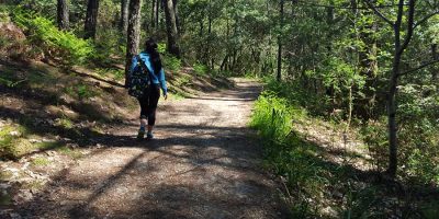 Walking alone on the Camino