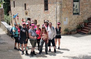Tour group on the Camino