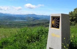 Yellow arrow and scallop shell marking the Camino de Santiago trail through the Spanish countryside.